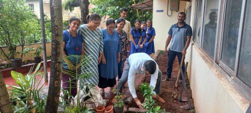 Plantation of Saplings